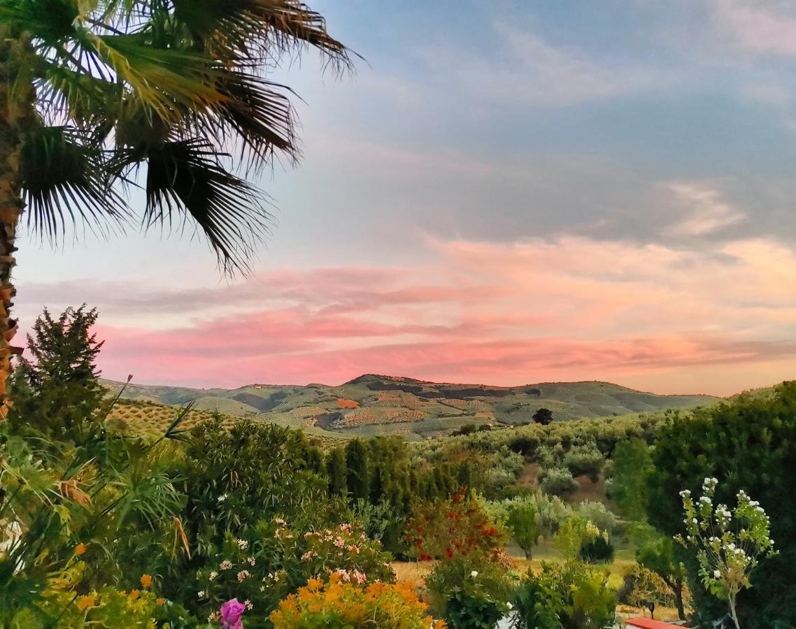 Cortijo Pennymaria Poolside Apartment Near Montefrio With Stunning Views Zewnętrze zdjęcie